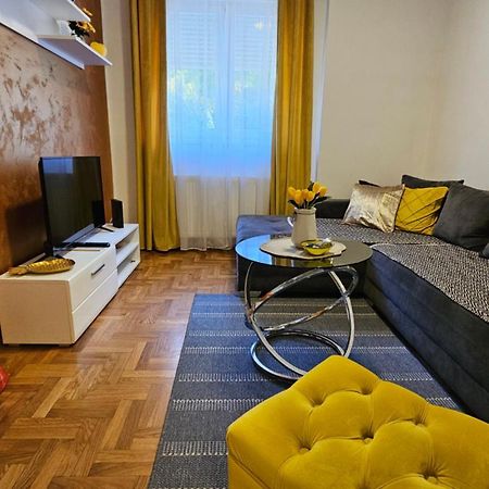Apartman Sunflower 斯雷姆斯卡米特罗维察 外观 照片