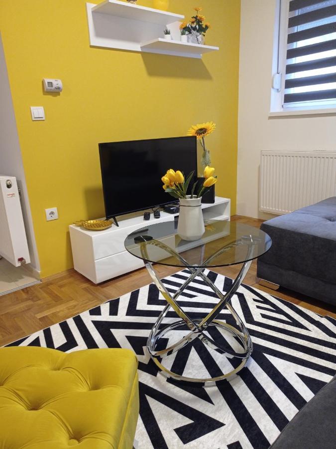 Apartman Sunflower 斯雷姆斯卡米特罗维察 外观 照片