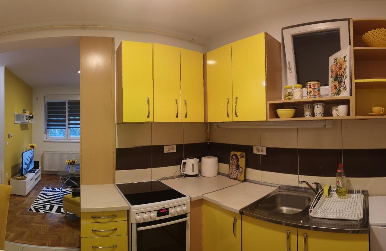 Apartman Sunflower 斯雷姆斯卡米特罗维察 外观 照片