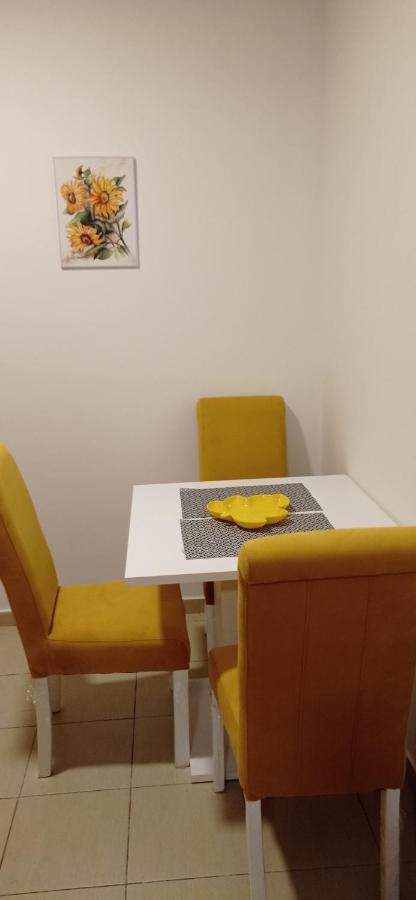 Apartman Sunflower 斯雷姆斯卡米特罗维察 外观 照片