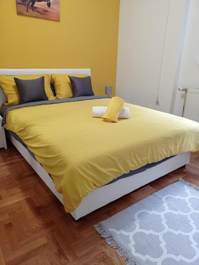 Apartman Sunflower 斯雷姆斯卡米特罗维察 外观 照片