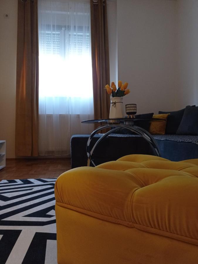 Apartman Sunflower 斯雷姆斯卡米特罗维察 外观 照片